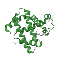 The deposited structure of PDB entry 2frf contains 1 copy of SCOP domain 46463 (Globins) in Myoglobin. Showing 1 copy in chain A.