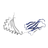 The deposited structure of PDB entry 2fse contains 2 copies of Pfam domain PF07654 (Immunoglobulin C1-set domain) in HLA class II histocompatibility antigen, DRB1 beta chain. Showing 1 copy in chain B.