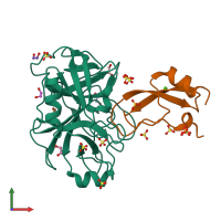 PDB entry 2ftl coloured by chain, front view.