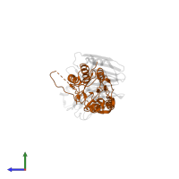 Caspase-8 subunit p18 in PDB entry 2fun, assembly 1, side view.