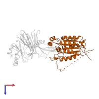 Caspase-8 subunit p18 in PDB entry 2fun, assembly 1, top view.