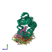 PDB entry 2fva coloured by chain, ensemble of 20 models, side view.