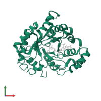 Aldo-keto reductase family 1 member C4 in PDB entry 2fvl, assembly 1, front view.