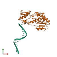 PDB entry 2fvp coloured by chain, front view.