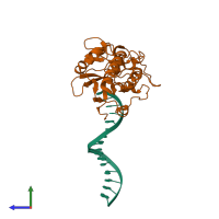 PDB entry 2fvp coloured by chain, side view.
