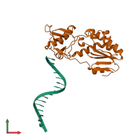 PDB entry 2fvr coloured by chain, front view.
