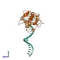 PDB entry 2fvr coloured by chain, side view.