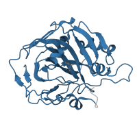 The deposited structure of PDB entry 2fw4 contains 2 copies of Pfam domain PF00194 (Eukaryotic-type carbonic anhydrase) in Carbonic anhydrase 1. Showing 1 copy in chain A.