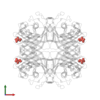 Modified residue SAC in PDB entry 2fxl, assembly 1, front view.