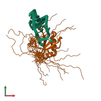 PDB entry 2fy1 coloured by chain, ensemble of 17 models, front view.