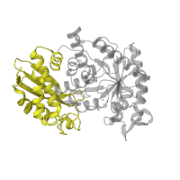 The deposited structure of PDB entry 2fym contains 4 copies of SCOP domain 54827 (Enolase N-terminal domain-like) in Enolase. Showing 1 copy in chain A.