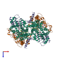 Hetero hexameric assembly 3 of PDB entry 2fyn coloured by chemically distinct molecules, top view.