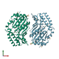 PDB entry 2g06 coloured by chain, front view.