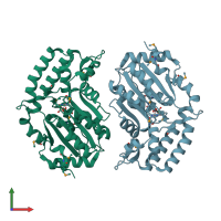 PDB entry 2g08 coloured by chain, front view.