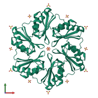 Homo hexameric assembly 1 of PDB entry 2g13 coloured by chemically distinct molecules, front view.