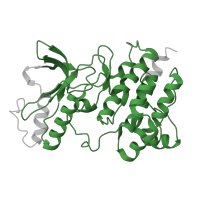 The deposited structure of PDB entry 2g15 contains 1 copy of Pfam domain PF07714 (Protein tyrosine and serine/threonine kinase) in Hepatocyte growth factor receptor. Showing 1 copy in chain A.