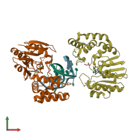 PDB entry 2g1p coloured by chain, front view.