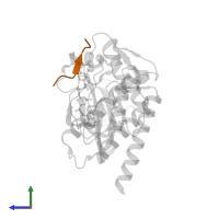 ATP-Peptide Conjugate in PDB entry 2g2f, assembly 1, side view.