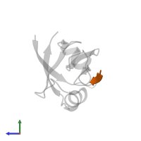 Glutamate receptor in PDB entry 2g2l, assembly 1, side view.