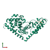 PDB entry 2g36 coloured by chain, front view.