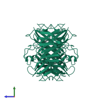 Homo tetrameric assembly 1 of PDB entry 2g3x coloured by chemically distinct molecules, side view.