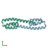 PDB entry 2g42 coloured by chain, front view.