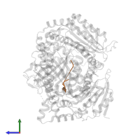 Amyloid-beta protein 40 in PDB entry 2g47, assembly 1, side view.