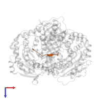 Amyloid-beta protein 40 in PDB entry 2g47, assembly 1, top view.