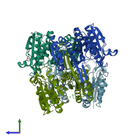 PDB entry 2g4o coloured by chain, side view.