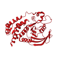 The deposited structure of PDB entry 2g59 contains 2 copies of CATH domain 3.90.190.10 (Protein-Tyrosine Phosphatase; Chain A) in Receptor-type tyrosine-protein phosphatase O. Showing 1 copy in chain A.