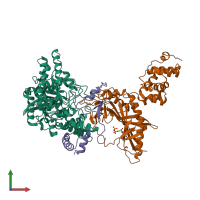 PDB entry 2g5i coloured by chain, front view.