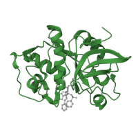 The deposited structure of PDB entry 2g6d contains 1 copy of SCOP domain 54002 (Papain-like) in Cathepsin S. Showing 1 copy in chain A.