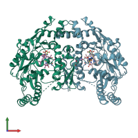 PDB entry 2g6h coloured by chain, front view.