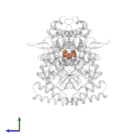 ARGININE in PDB entry 2g6l, assembly 1, side view.