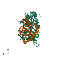 PDB entry 2g77 coloured by chain, side view.