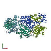 PDB entry 2g7u coloured by chain, front view.