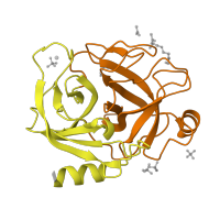 The deposited structure of PDB entry 2g81 contains 2 copies of CATH domain 2.40.10.10 (Thrombin, subunit H) in Serine protease 1. Showing 2 copies in chain A [auth E].
