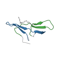 The deposited structure of PDB entry 2g81 contains 2 copies of Pfam domain PF00228 (Bowman-Birk serine protease inhibitor family) in Bowman-Birk serine protease inhibitors family domain-containing protein. Showing 2 copies in chain B [auth I].