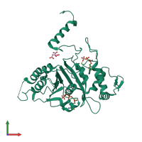 PDB entry 2g88 coloured by chain, front view.