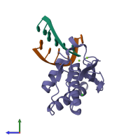 PDB entry 2g8f coloured by chain, side view.