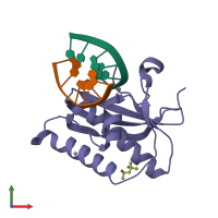 PDB entry 2g8i coloured by chain, front view.