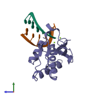 PDB entry 2g8u coloured by chain, side view.