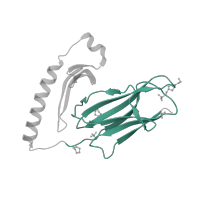 The deposited structure of PDB entry 2g9h contains 1 copy of SCOP domain 48942 (C1 set domains (antibody constant domain-like)) in HLA class II histocompatibility antigen, DR alpha chain. Showing 1 copy in chain A.