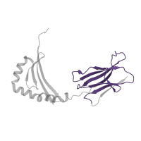 The deposited structure of PDB entry 2g9h contains 1 copy of Pfam domain PF07654 (Immunoglobulin C1-set domain) in HLA class II histocompatibility antigen, DRB1 beta chain. Showing 1 copy in chain B.