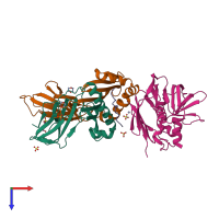 Hetero tetrameric assembly 1 of PDB entry 2g9h coloured by chemically distinct molecules, top view.