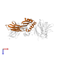 HLA class II histocompatibility antigen, DRB1 beta chain in PDB entry 2g9h, assembly 1, top view.