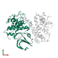 Cyclin-dependent kinase 2 in PDB entry 2g9x, assembly 1, front view.
