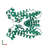 Homo dimeric assembly 2 of PDB entry 2gby coloured by chemically distinct molecules, front view.