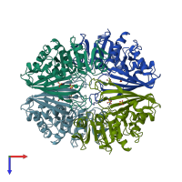 PDB entry 2gd1 coloured by chain, top view.