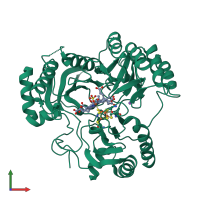 PDB entry 2gep coloured by chain, front view.